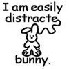 easily-distracte-bunny.jpg#asset:19 easily-distracte-bunny.jpg#asset:19